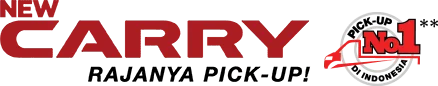 Logo New Carry