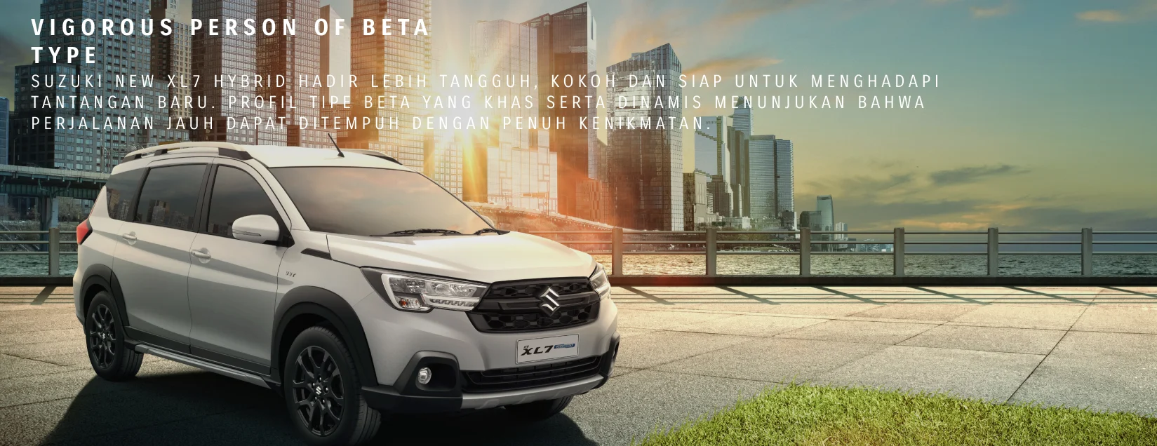 Details Beta Banner