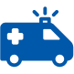 Insurance Icon