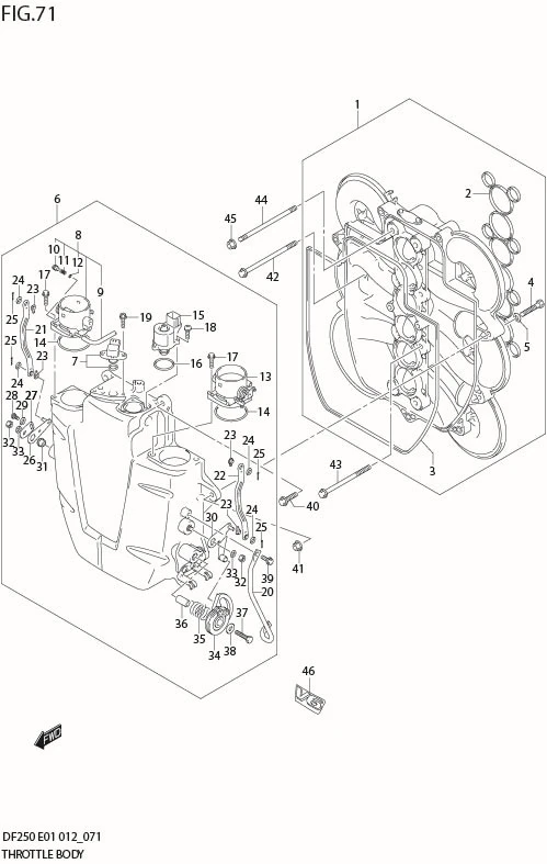 FIG 71  THROTTLE BODY (DF200Z E1)