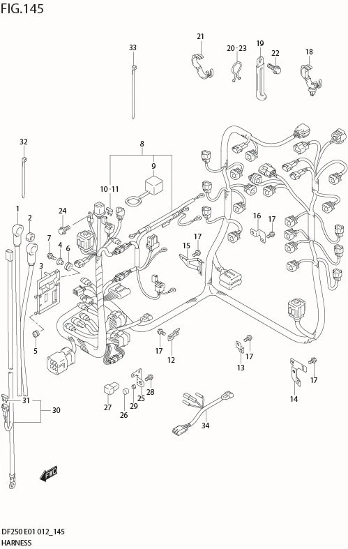 FIG 145 HARNESS (DF250Z E1)
