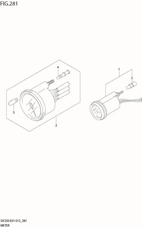 FIG 281 METER (DF200T E1)