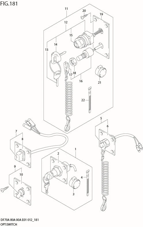 FIG 181 OPT:SWITCH (DF80A E01)