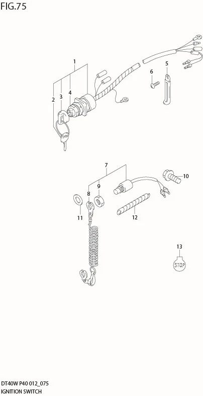 FIG 75  IGNITION SWITCH (DT40W P40)