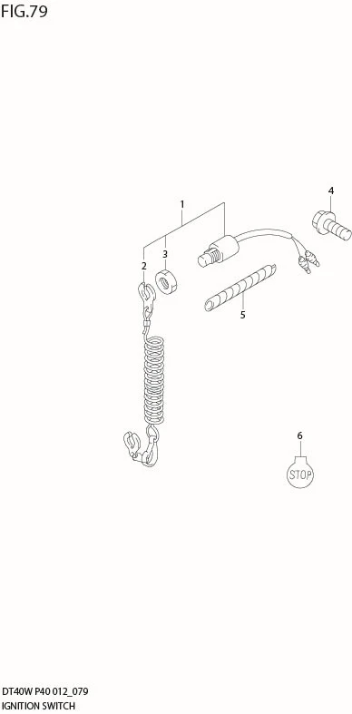 FIG 79  IGNITION SWITCH (DT40WK P40)