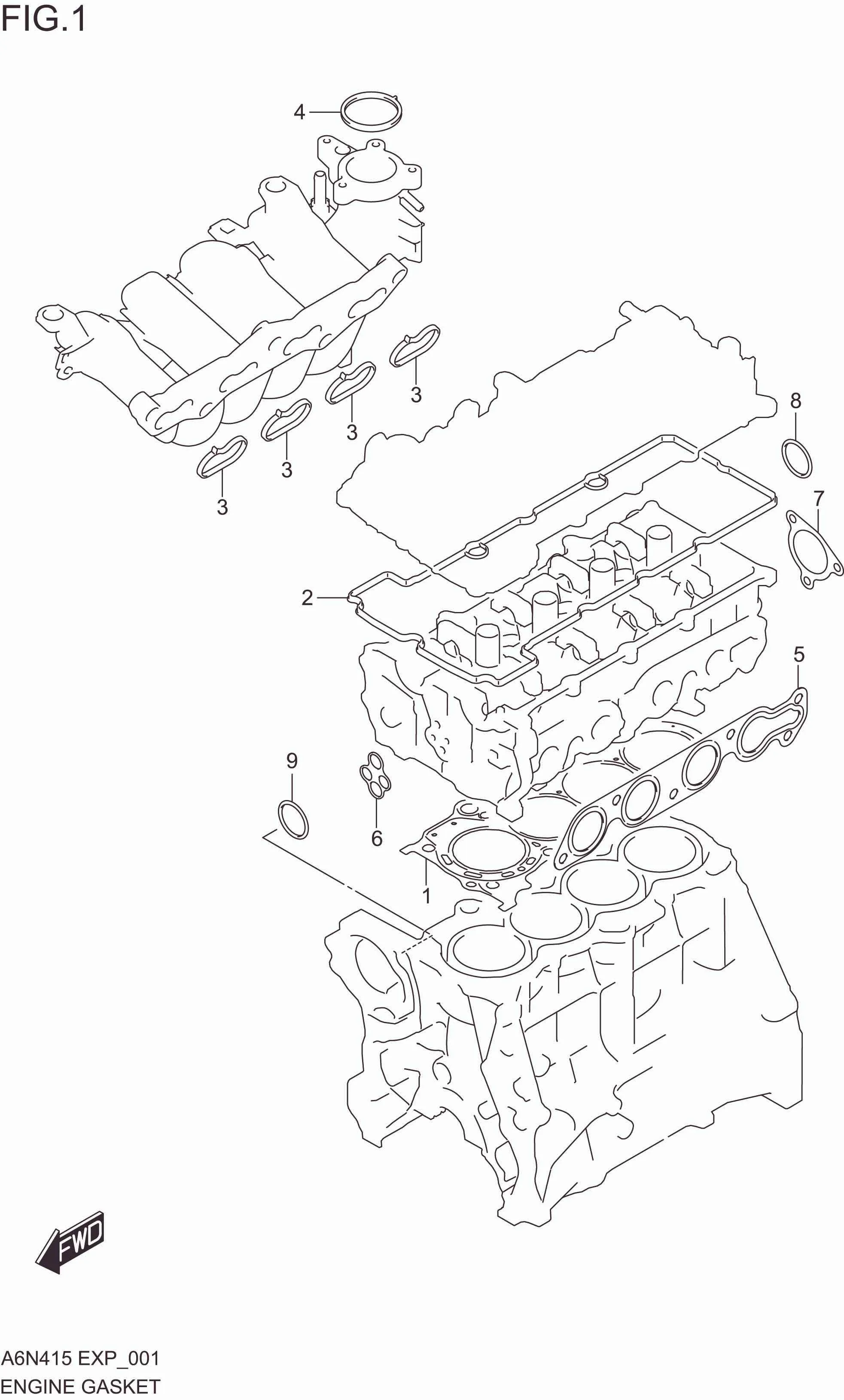 FIG. 001 ENGINE GASKETS