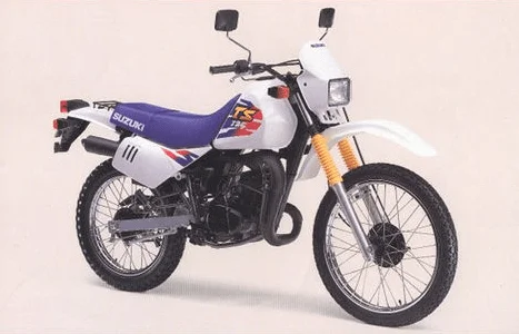 Suzuki TS 125, Pernah Berjaya Di Negeri Tercinta