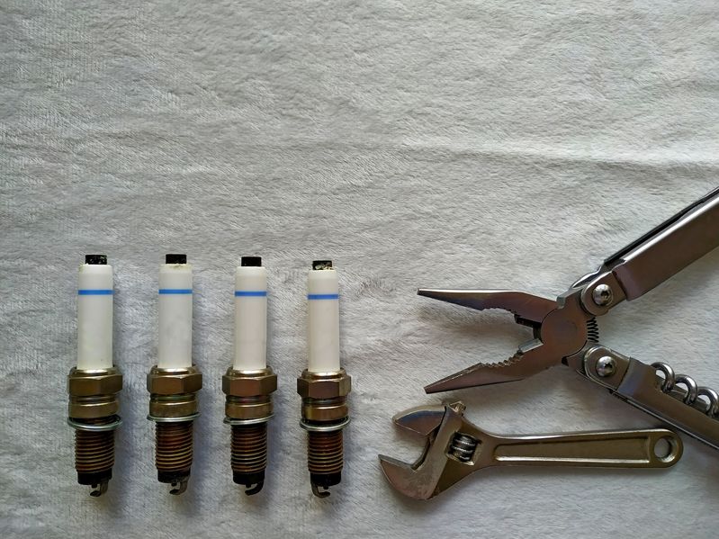 Busi Motor1