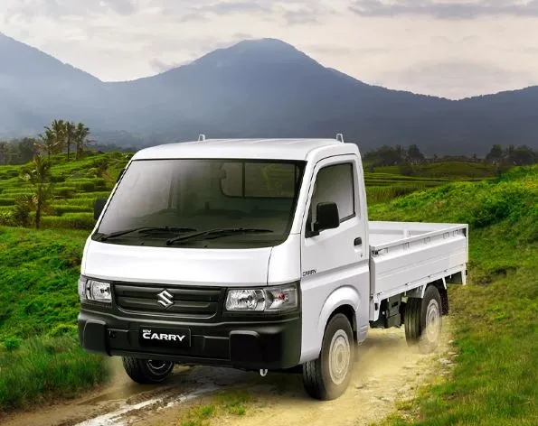 Suzuki Carry